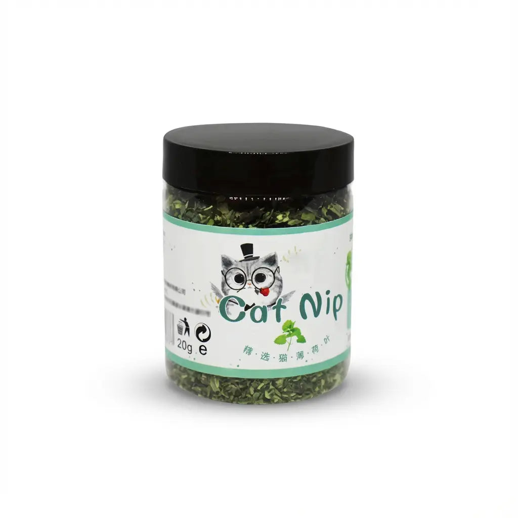 Catnip Natural 100% para Gatos – Juguete Estimulante