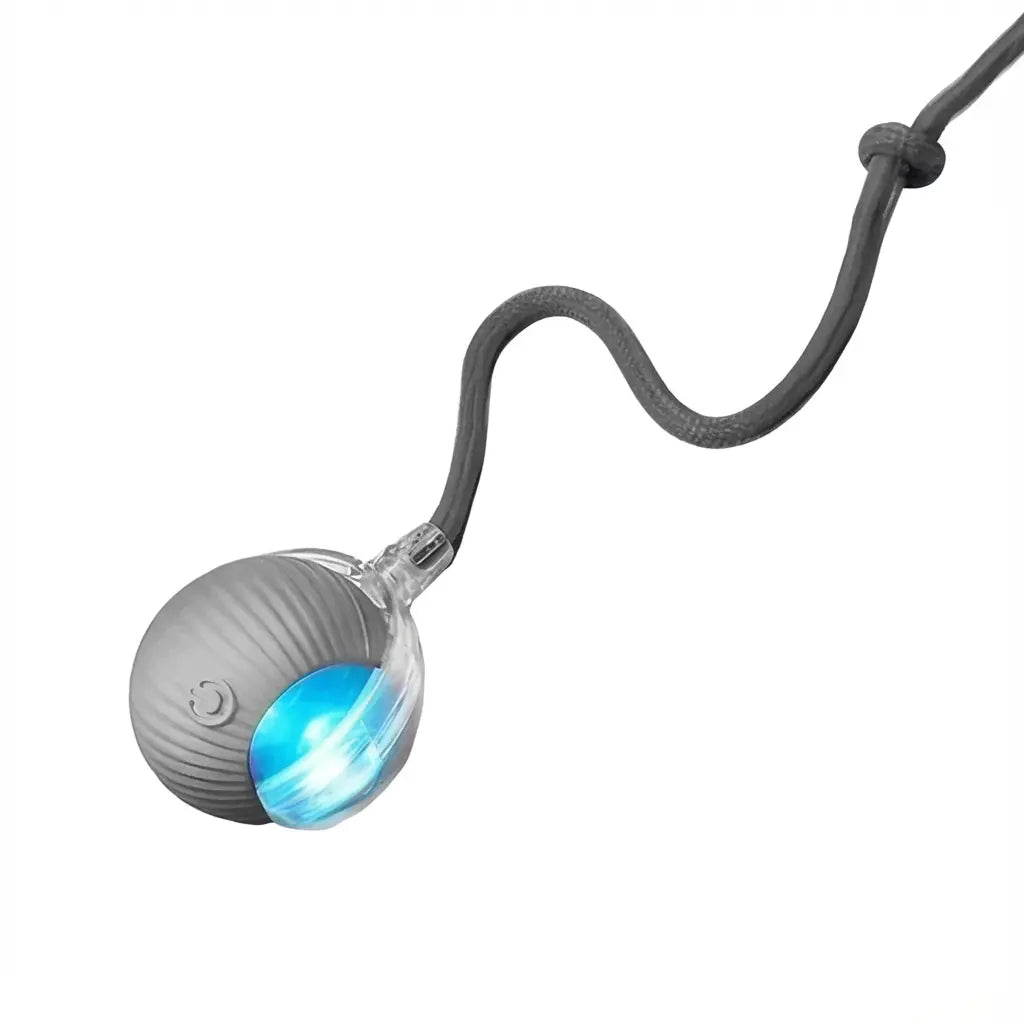 Pelota Inteligente Interactiva para Perros