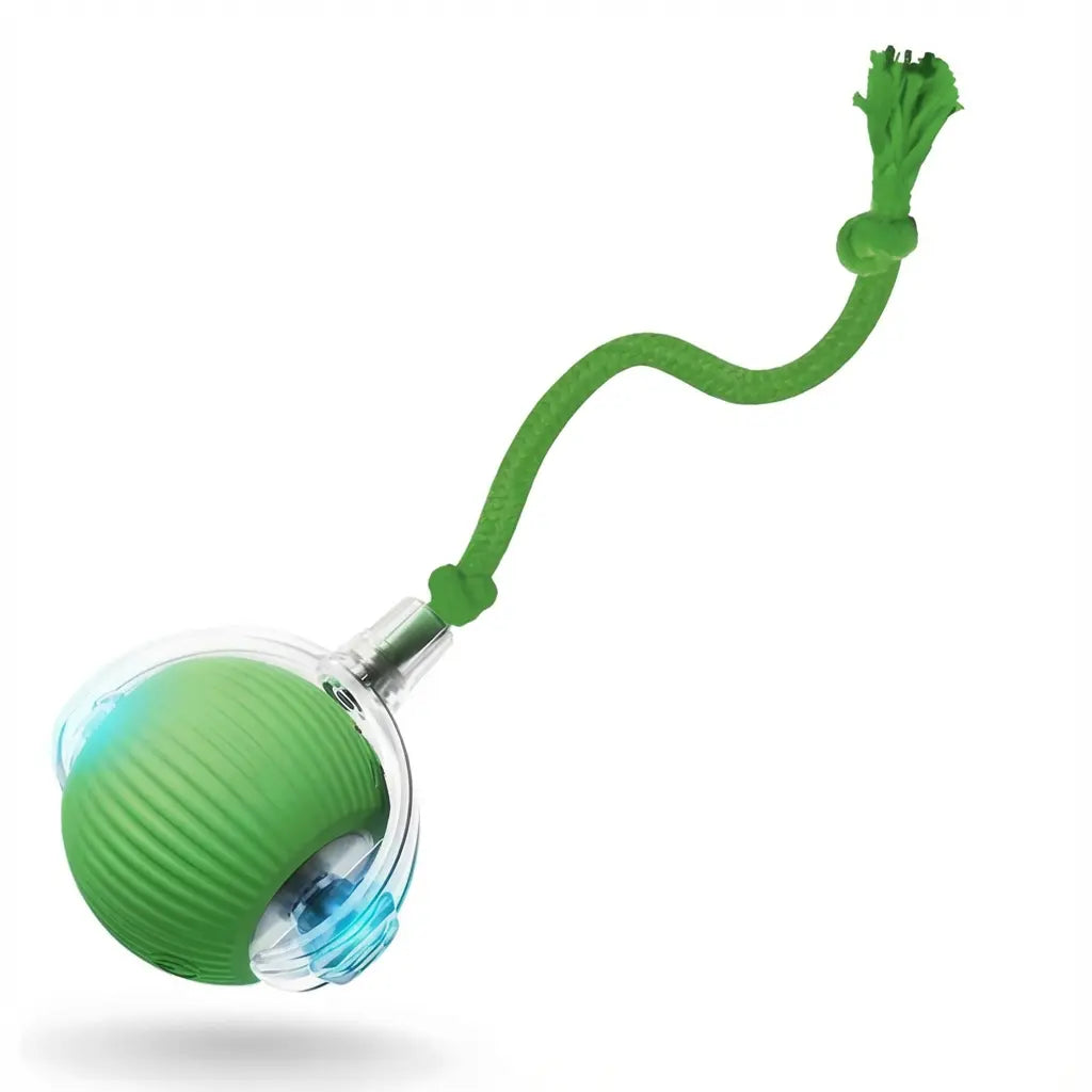 Pelota Inteligente Interactiva para Perros