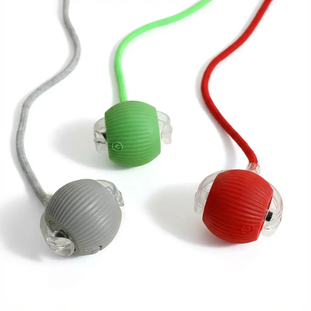 Pelota Inteligente Interactiva para Perros