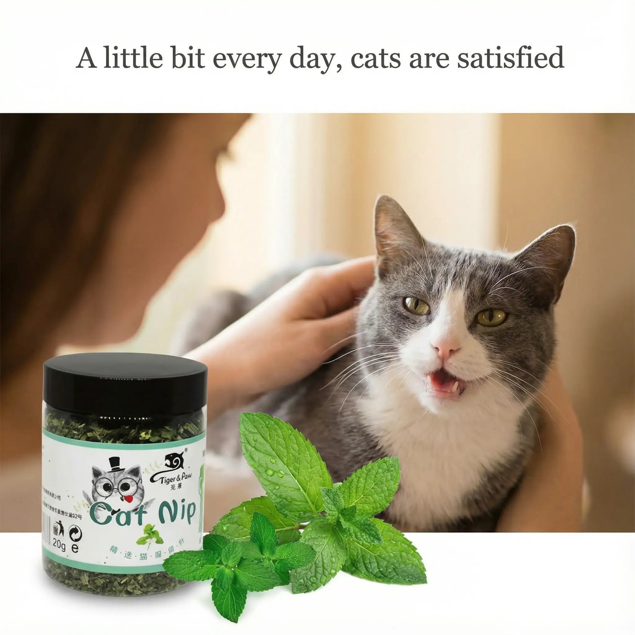 Catnip Natural 100% para Gatos – Juguete Estimulante