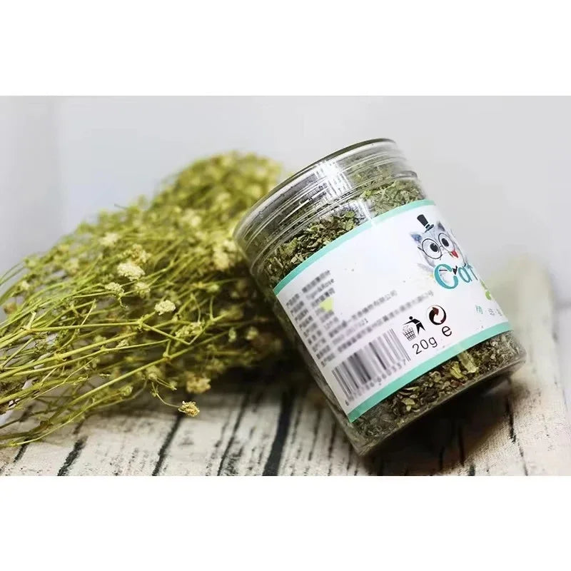 Catnip Natural 100% para Gatos – Juguete Estimulante